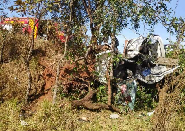 Carro colide em &aacute;rvore e homem de 64 anos morre 