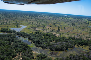 Mato Grosso do Sul tem 64,5% do território do Pantanal. (Foto: Gustavo Figueirôa/SOS Pantanal)