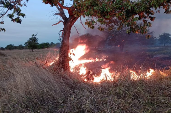 Incêndio atinge cerca de 5 fazendas às margens da BR-158