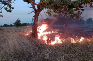 Fogo se espalhou rapdiamento e atingiu várias fazendas (Foto: Reprodução / Corpo de Bombeiros) 