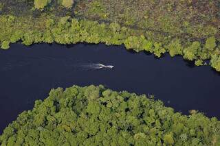 Vista aérea do Pantanal (Foto: Divulgação/WWF Brasil)