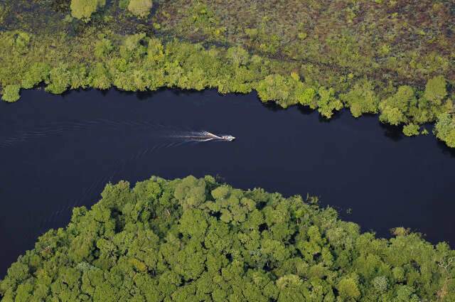 Nesta semana, Campo Grande ter&aacute; f&oacute;rum sobre conserva&ccedil;&atilde;o do Pantanal