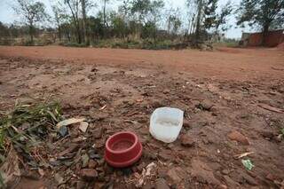 Apenas os potes de comida e água restaram no local; Rebeca finalmente voltou para casa. (Foto: Marcos Maluf)