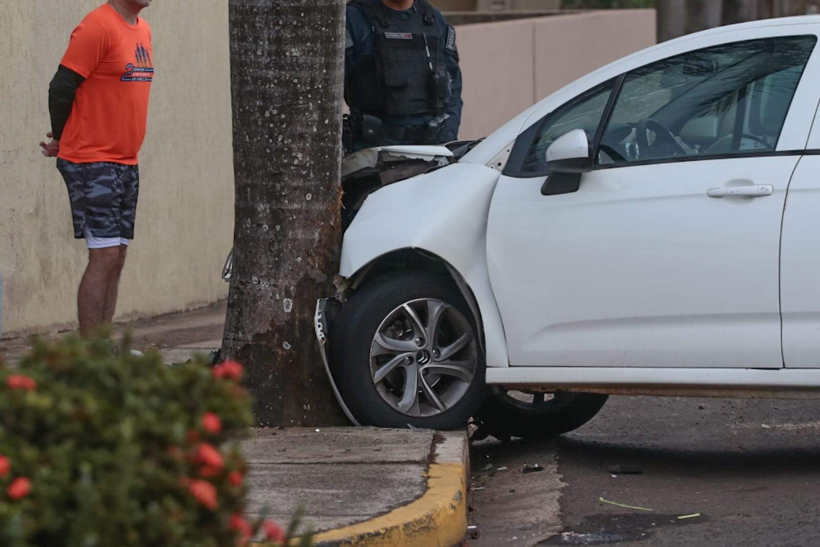 Condutora perde controle e veículo bate em coqueiro no Monte Castelo