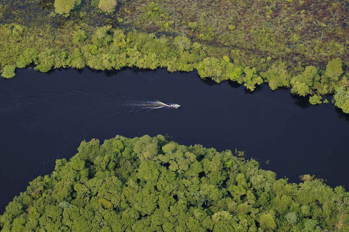 Nesta semana, Campo Grande terá fórum sobre conservação do Pantanal