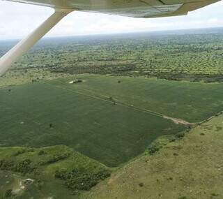 Estudos técnicos devem ser feitos para embasar projeto de lei sobre a proteção do Pantanal (Foto: Arquivo)