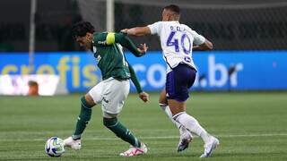 Gustavo Gómez disputa a posse da bola durante partida válida pela 19ª rodada do Brasileirão. (Foto: Cesar Greco/Palmeiras)