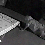 Bandido invade asilo e “engatinha” para furtar objetos; assista