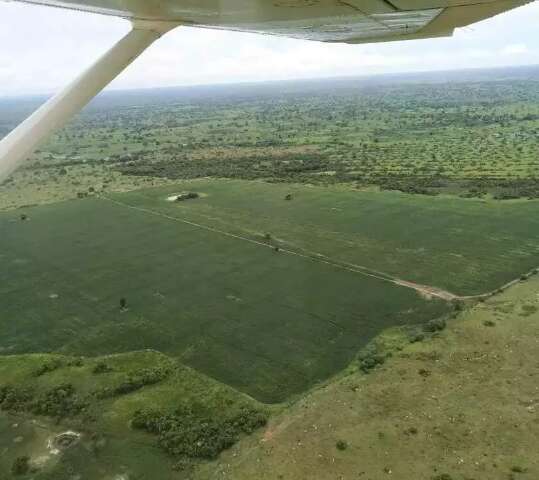 Suspens&atilde;o no Pantanal vai atingir licen&ccedil;as j&aacute; em tr&acirc;mita&ccedil;&atilde;o