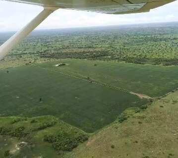 Suspensão no Pantanal vai atingir licenças já em trâmitação