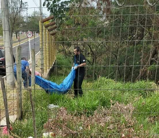 Cad&aacute;ver &eacute; encontrado em &aacute;rea de vegeta&ccedil;&atilde;o na Avenida Gury Marques