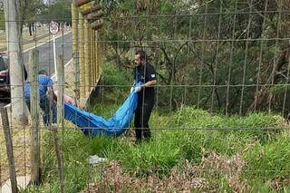 Funerária retirando corpo de homem de área de vegetação. (Foto: Bruna Marques)