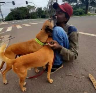 Morador de rua, Amâncio partiu e amigos procuram lar para duplinha “órfã”