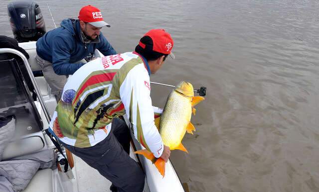 Pesca Esportiva no Pantanal: como fisgar e devolver o peixe vivo ao rio