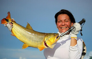 Trofeu da pescaria esportiva no Pantanal, em Corumbá: exemplar do dourado. (Foto: Divulgação)