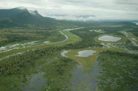 Soja pressiona Pantanal, que precisa de lei “abrangente”, segundo entidades