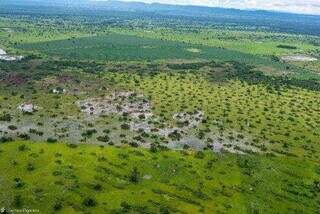 Limpeza de pasto e retirada de espécies invasoras no Pantanal precisarão de autorização (Foto: Reprodução inquérito civil)