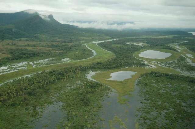 Soja pressiona Pantanal, que precisa de lei &ldquo;abrangente&rdquo;, segundo entidades