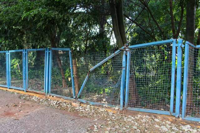 Depredado, Horto Florestal pode cair no esquecimento das pr&oacute;ximas gera&ccedil;&otilde;es