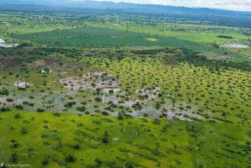 Governo publica decreto sobre como fica limpeza de pastagem no Pantanal