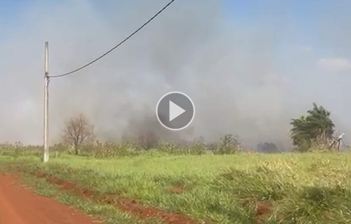 Transformador pega fogo e atinge plantação de milho em Maracaju  