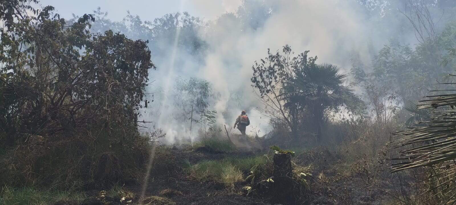 Incêndio consome um hectare de mata durante a tarde 