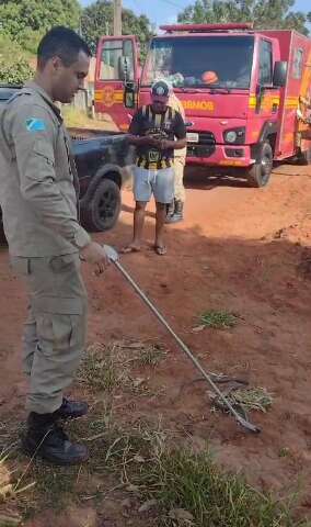 Corpo de Bombeiros &eacute; acionado para retirar cobra-cip&oacute; de dentro de picape