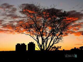Pôr do sol em Campo Grande é um dos registros que encanta profissional. (Foto: Wilmar Carrilho)