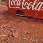 Caminhão carregado de bebidas fica preso em atoleiro no Parque Lageado