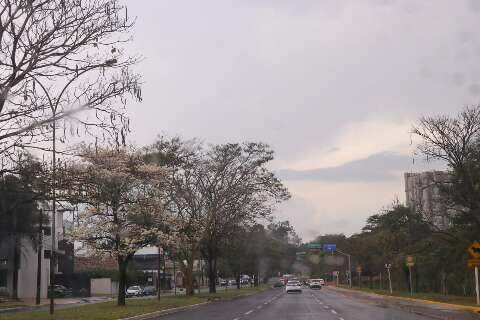 Pancada de chuva volta à Capital e deve seguir amanhã; mas frio só no dia 29