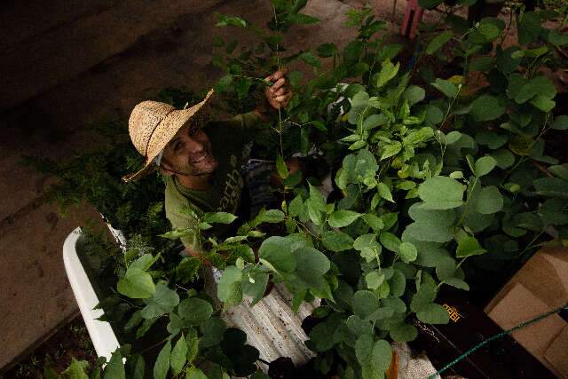 Pelo futuro do Planeta, volunt&aacute;rios de MS plantam &aacute;rvores at&eacute; fora do Estado