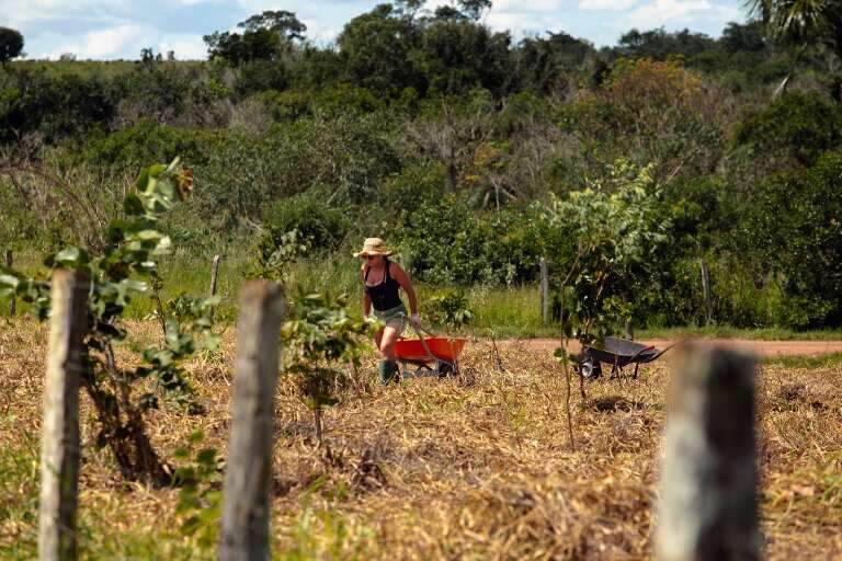 Campo Grande News