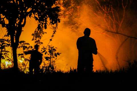 Bombeiros confirmam: principal causa do 'fogaréu' em Campo Grande é ação humana