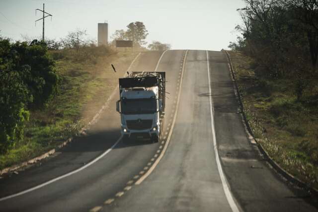 Rota da celulose, BR-262 tem 32% de acidentes graves com caminh&otilde;es