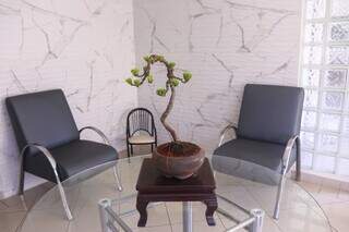 Dentro do consultório, a mesa foi decorada por um bonsai. (Foto: Paulo Francis)