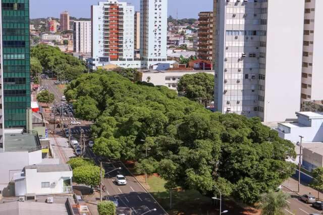 Confira o que abre e o que fecha no anivers&aacute;rio de Campo Grande