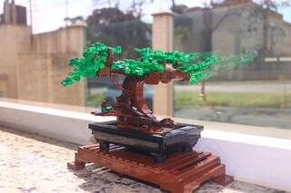 Lego que remete ao bonsai é presente que dentista mantém na clínica. (Foto: Paulo Francis)