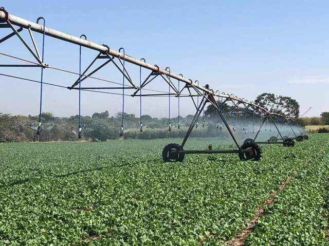 MS tem potencial para irrigação agrícola em 2,4 milhões de hectares