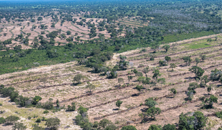 Imagem aérea do Pantanal com áreas que sofreram supressão vegetal (Foto: SOS Pantanal)