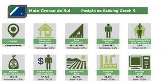Pesquisas mostra dados sobre população e economia de Mato Grosso do Sul. (Foto: Reprodução)