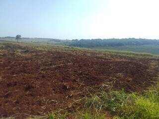 Terra preparada para plantio de soja em área arrendada na aldeia Te&#39;yikue, em Caarapó (Foto: Direto das Ruas)