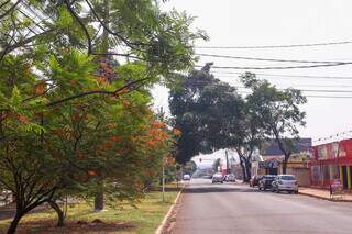 Rua da Divisão tem canteiro cheio de àrvores e em toda extensão é marcada pela presença do comércio. (Foto: Paulo Francis)