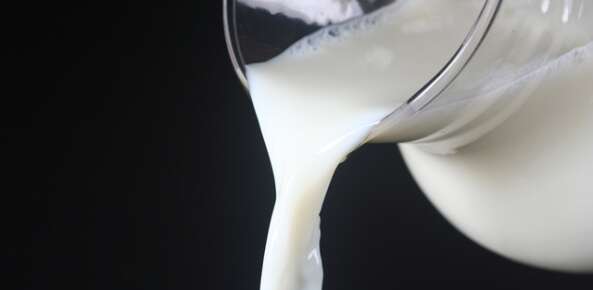 Preço do litro do leite pago nas indústrias cai 22% em um ano em MS