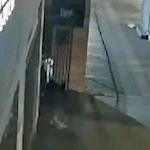 Bandidos arrombam porta de loja e saem levando R$ 10 mil em tênis e roupas