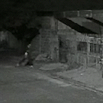 Câmera de segurança registra homem cambaleando ao tentar fugir de assassinos