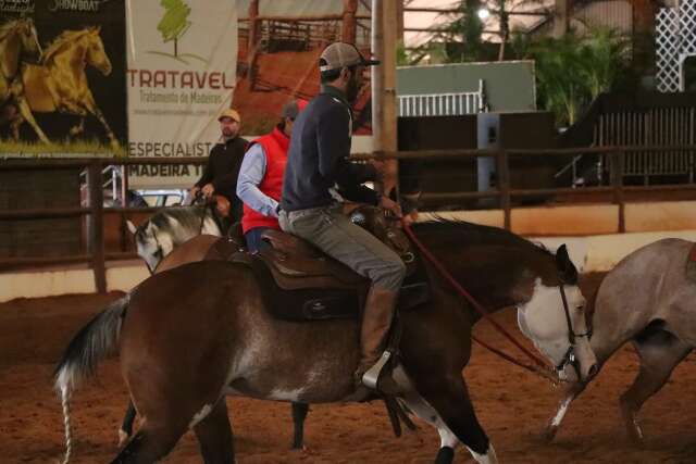 Animais passam por vistoria antes da estreia da etapa nacional do CLC