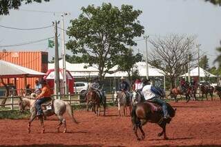 Competidores treinam com os cavalos em arena no Parque do Peão (Foto: Marcos Maluf)