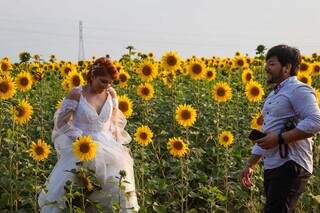 No campo de girassóis, fotógrafo conduzia ensaio com modelo vestida de noiva. (Foto: Henrique Kawaminami)