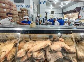 Refrigerador expositor com peixes no Mercado Municipal de Campo Grande (Foto: Marcos Maluf)