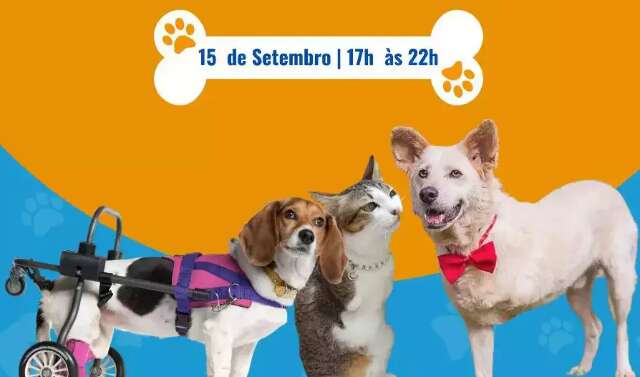Campo Grande ter&aacute; feira de ado&ccedil;&atilde;o de pets com necessidades especiais